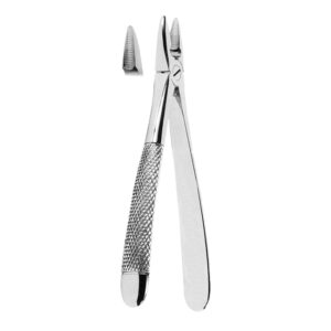 Extracting Forceps