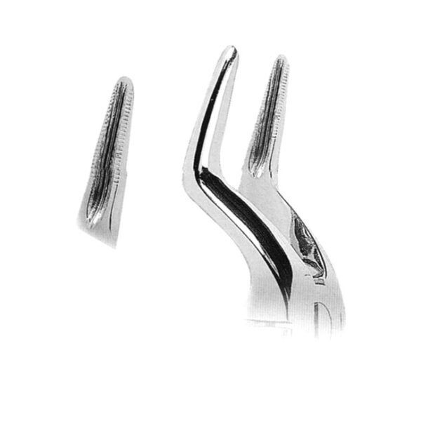 Extracting Forceps with Anatomically Shaped Handle Extracting Forceps with Anatomically Shaped Handle